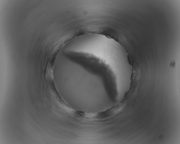 X0000112470143200909071142