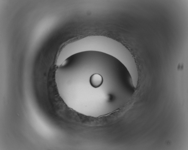 X0000112470144200909071142