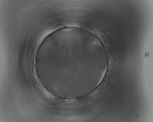 X0000112470145200909071141