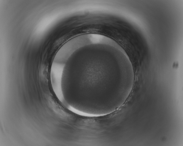 X0000112470146200909071141