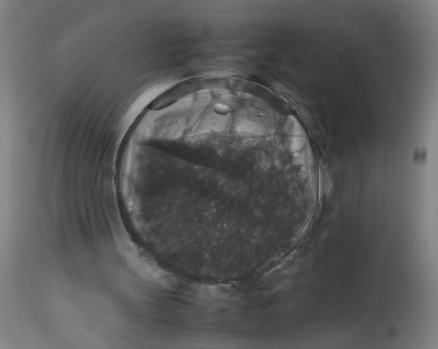 X0000112470147200909071141