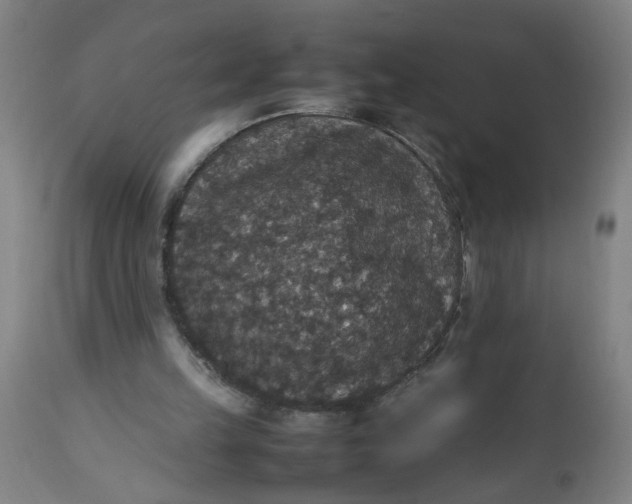 X0000112470149200909071141