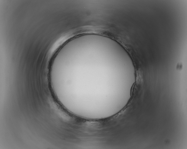 X0000112470150200909071141