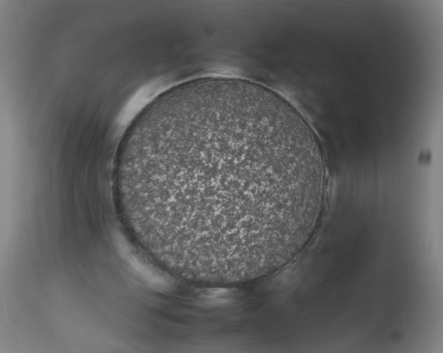 X0000112470151200909071141