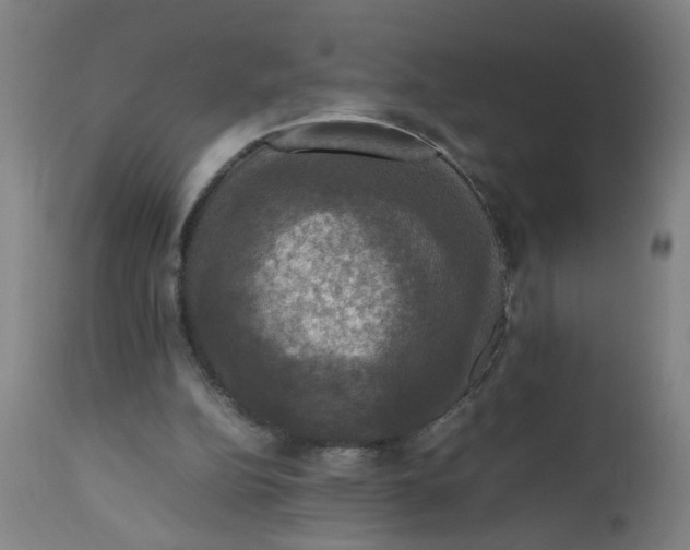 X0000112470152200909071141