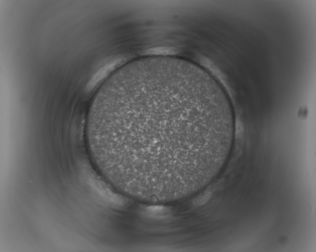 X0000112470153200909071141