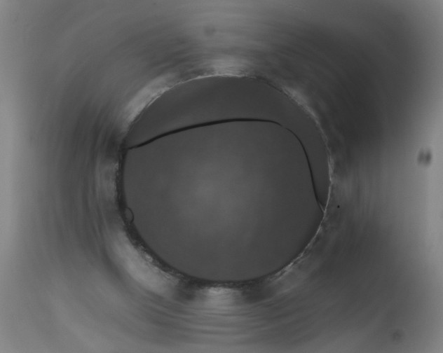 X0000112470154200909071141