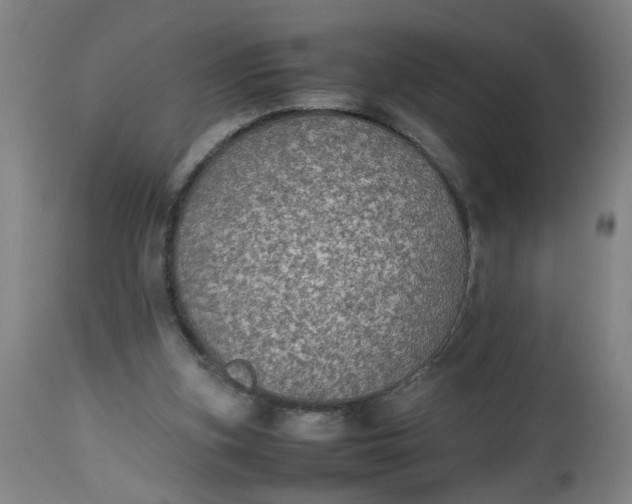 X0000112470155200909071141