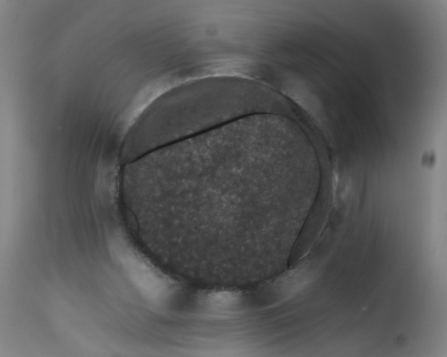 X0000112470156200909071141