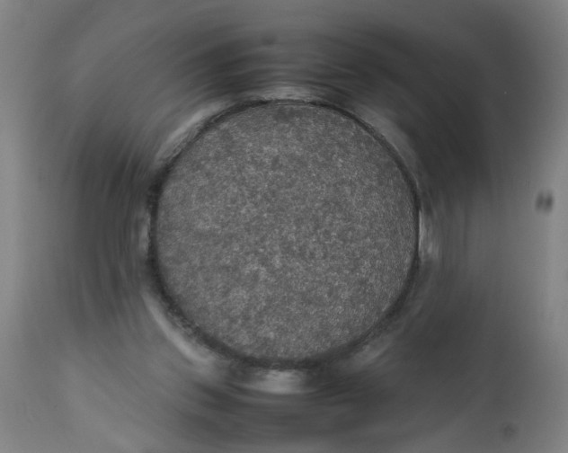 X0000112470157200909071142