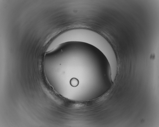 X0000112470158200909071142