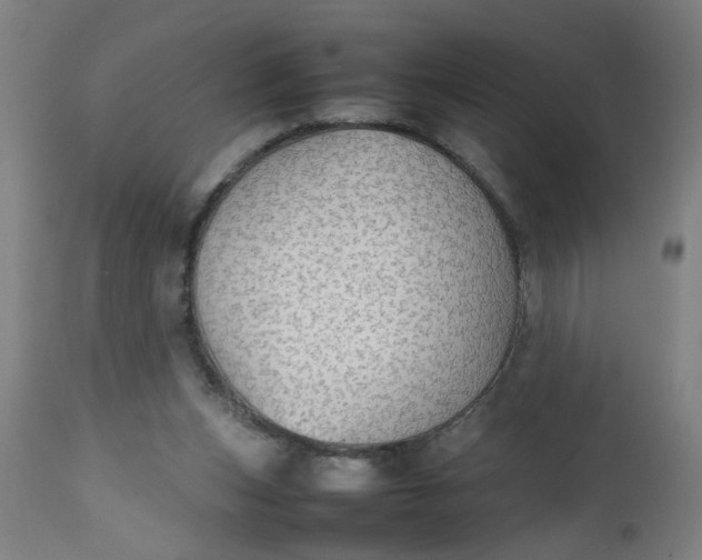 X0000112470159200909071142