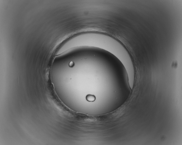 X0000112470160200909071142