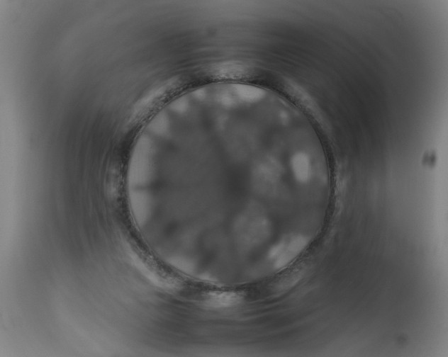 X0000112470161200909071142