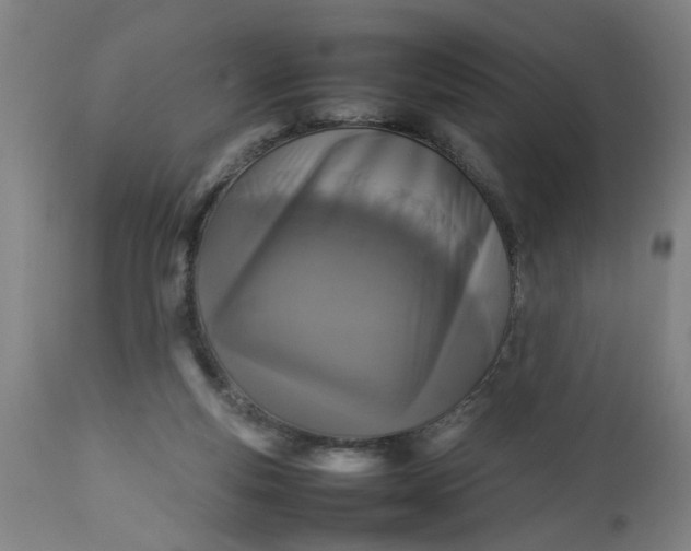 X0000112470163200909071142