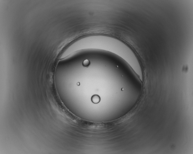 X0000112470164200909071142