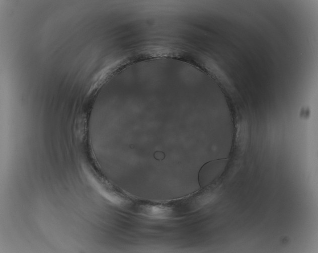 X0000112470165200909071142