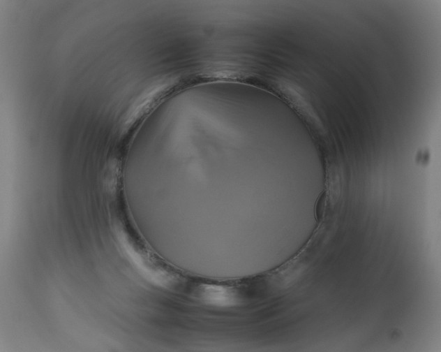 X0000112470167200909071142