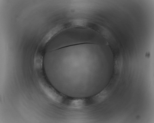 X0000112470168200909071142