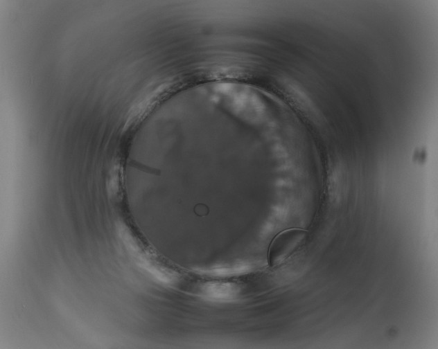 X0000112470169200909071142