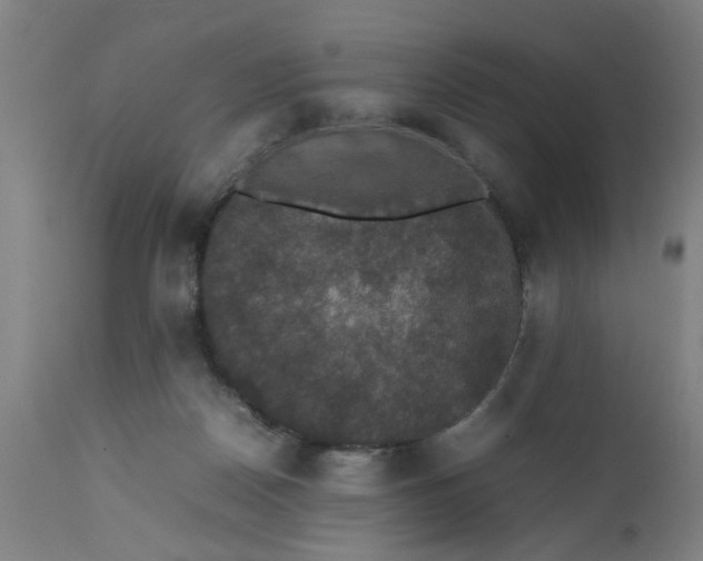 X0000112470170200909071142