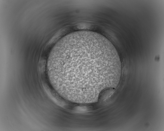 X0000112470171200909071142