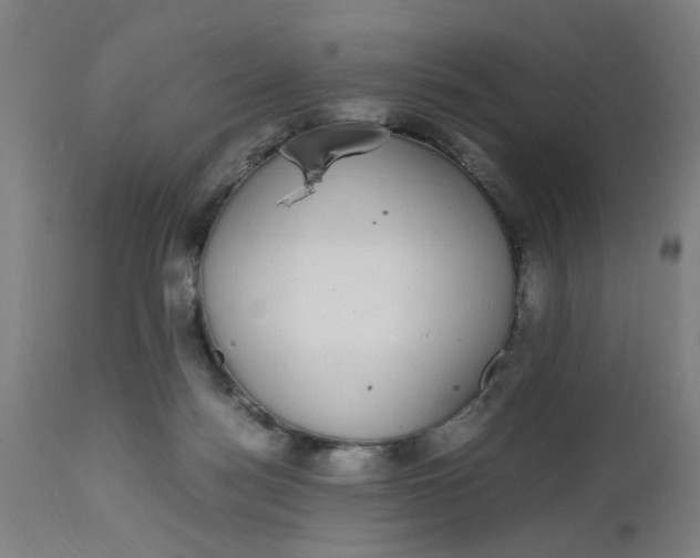 X0000112470172200909071142