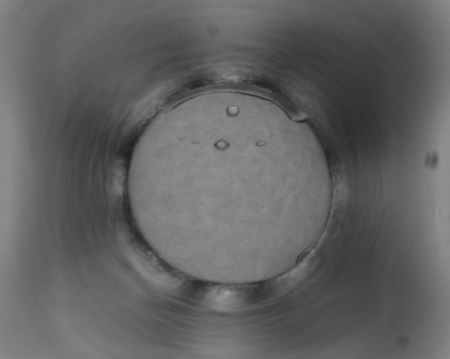 X0000112470174200909071142