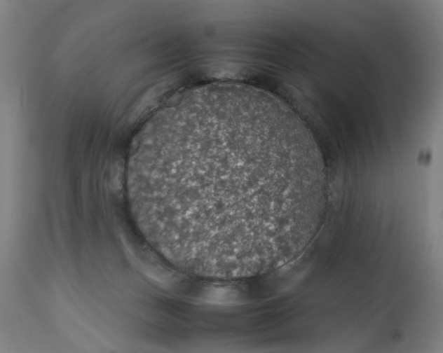 X0000112470175200909071142