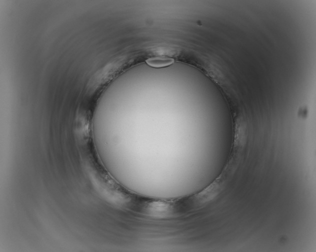 X0000112470176200909071142