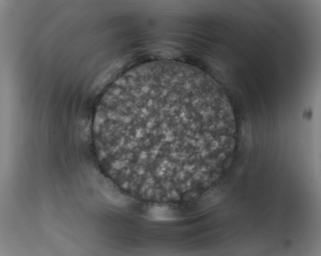 X0000112470177200909071142