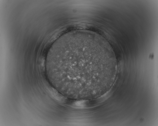 X0000112470178200909071142