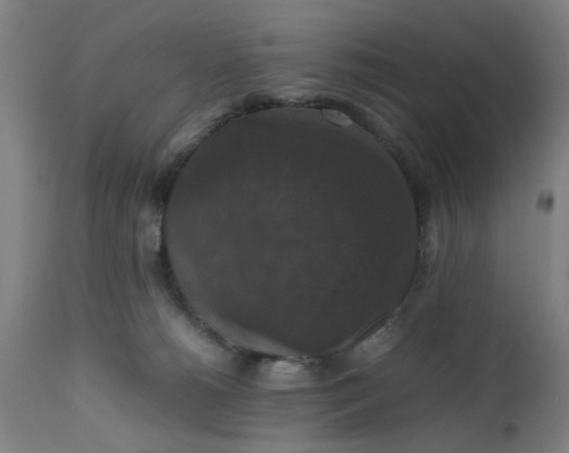 X0000112470180200909071142