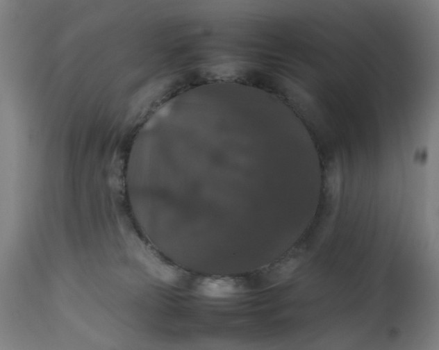 X0000112470181200909071142