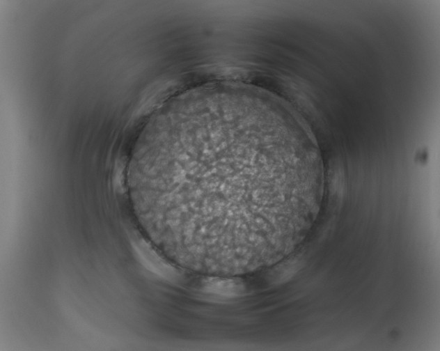 X0000112470185200909071142