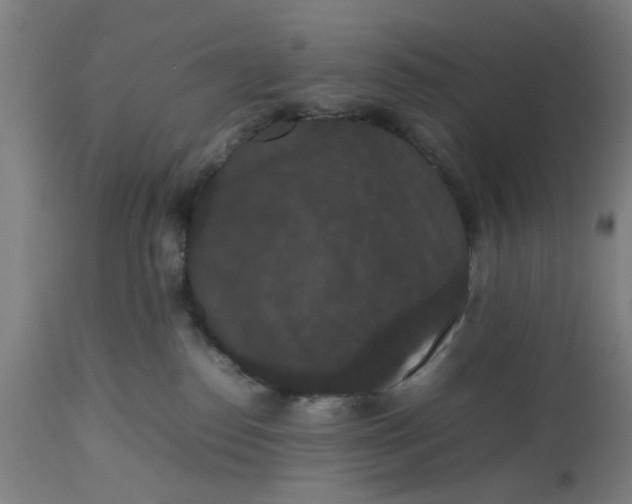 X0000112470186200909071142