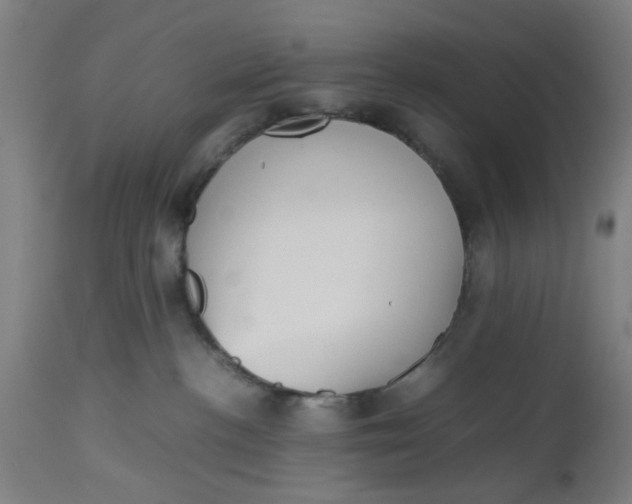 X0000112470188200909071142