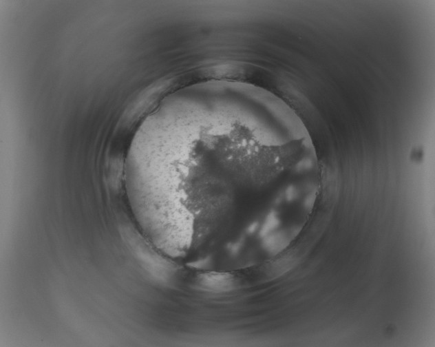 X0000112470189200909071142