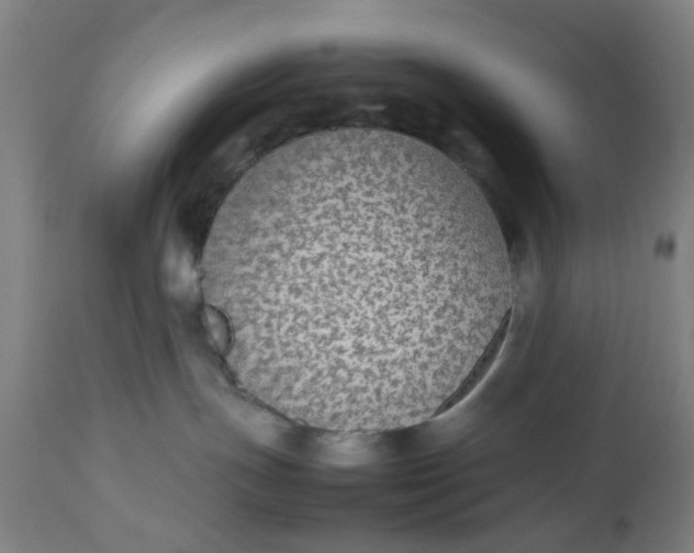 X0000112470191200909071142