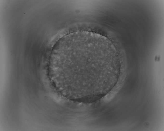 X0000112470192200909071142