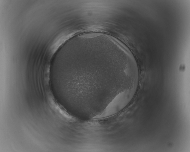 X0000112470194200909071141