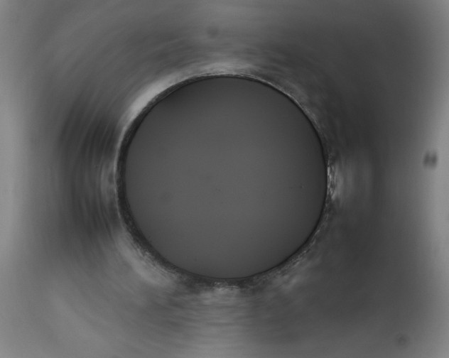 X0000112470196200909071141