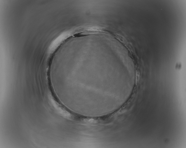 X0000112470197200909071141