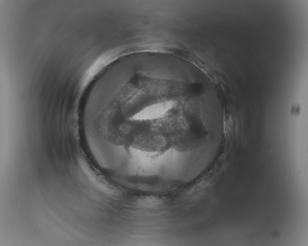 X0000112470198200909071141