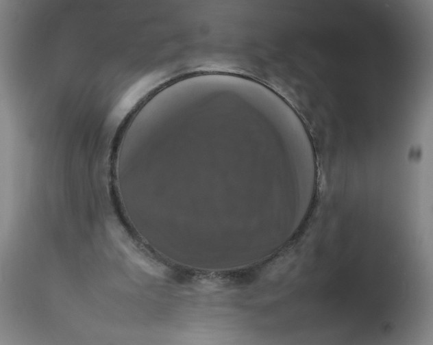 X0000112470199200909071141