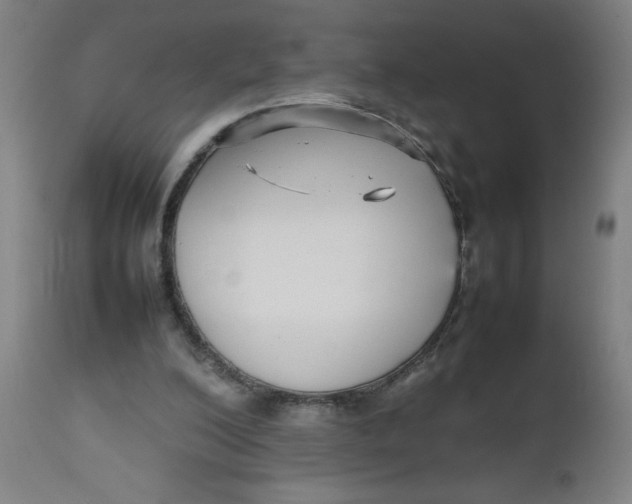 X0000112470200200909071141