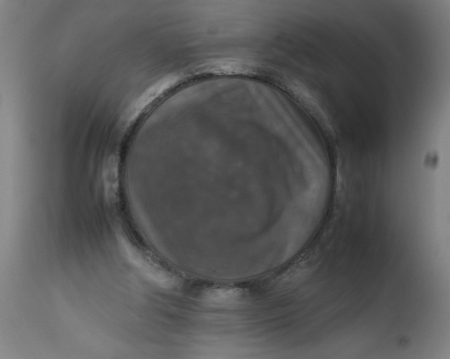 X0000112470202200909071141