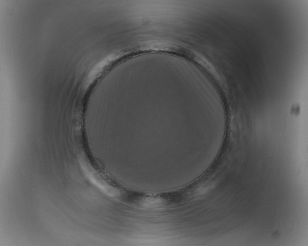 X0000112470203200909071141