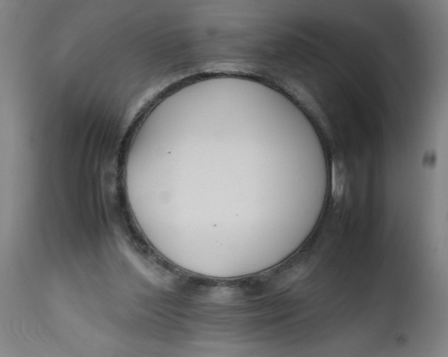 X0000112470204200909071141