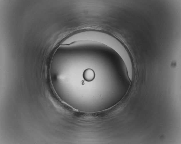 X0000112470205200909071141